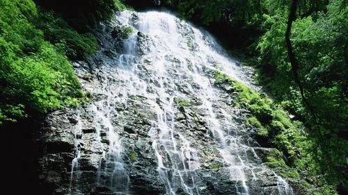 高效高标准